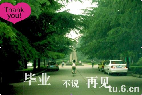 2010050516595680.jpg