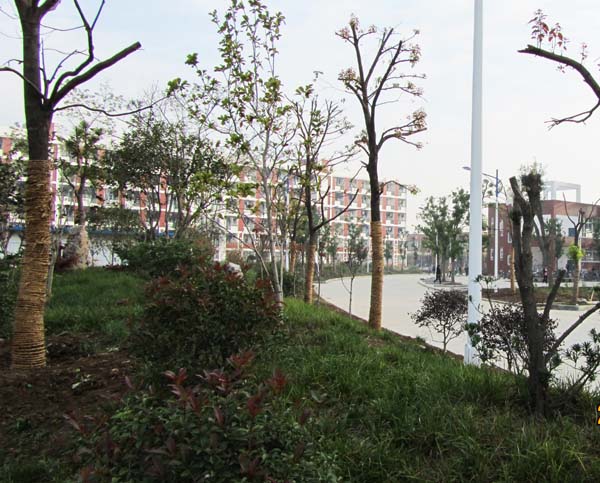 教学区北面1.jpg